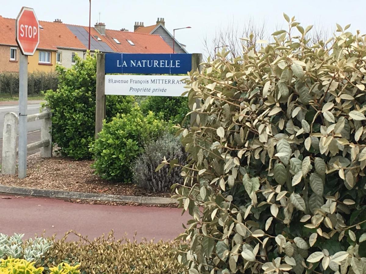 La mer vue d'en haut , duplex à la naturelle sur la côte d'opale Wimereux Extérieur photo
